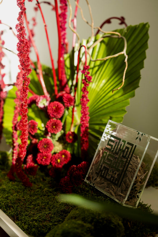 نـقـصـة الـبـخـور XPetaliq